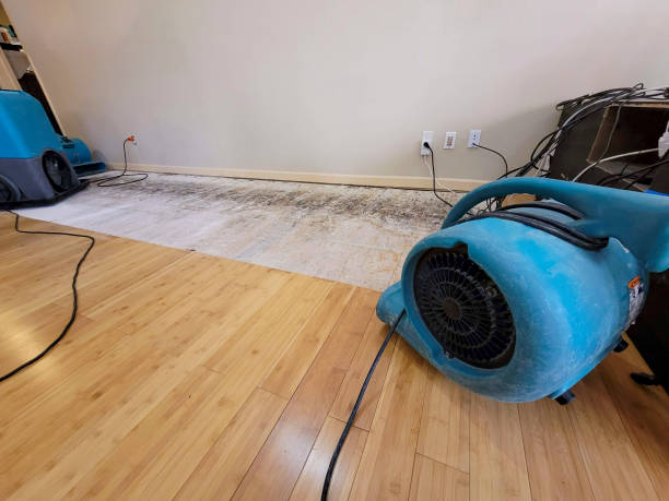 Professional Sewage Cleanup technician working in Clinton, LA